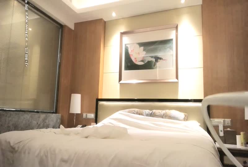 探花郎李寻欢风骚御姐