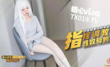 小二先生  MRTU調教性奴專場 指揮調教白毛小母狗 對鏡騎乘榨汁性奴 內射淫穴宮腔