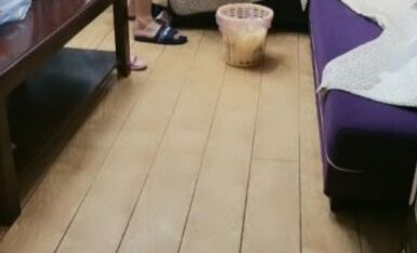 野狼出击--收个女徒弟